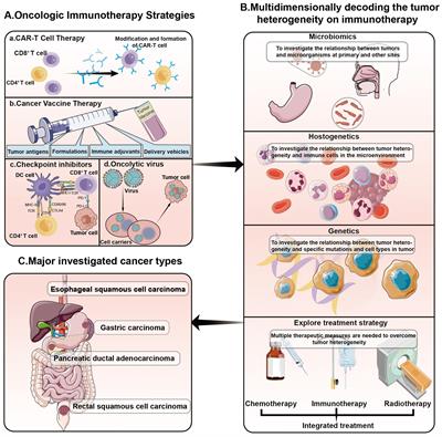 Editorial: Multidimensionally decoding the impact of tumor heterogeneity on immunotherapy responsiveness in gastrointestinal tumors